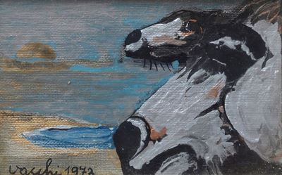 I Cavalli di Finisterre