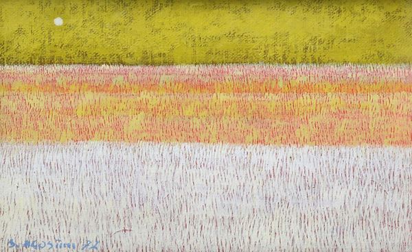 Sergio Agostini - The great fields