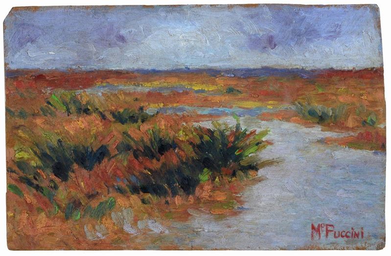 Mario Puccini - Campo