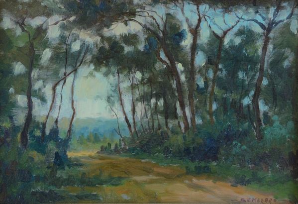Piero Semeraro - Pine forest