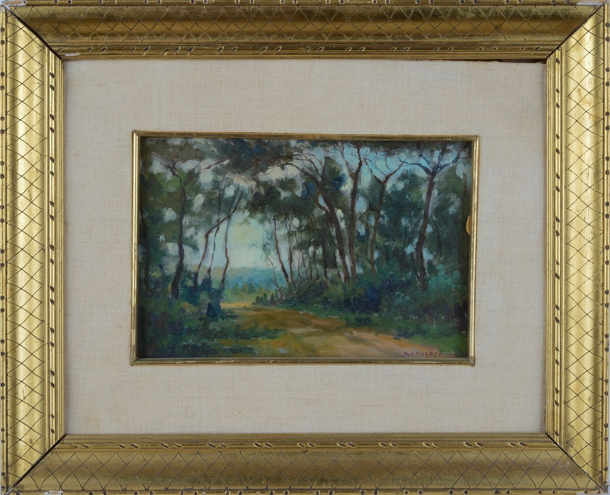 Piero Semeraro - Pineta
