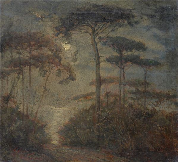 Anonimo, inizi XX sec. - Paesaggio con pini