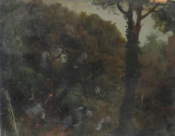Attr. a Pietro Senno - Bosco