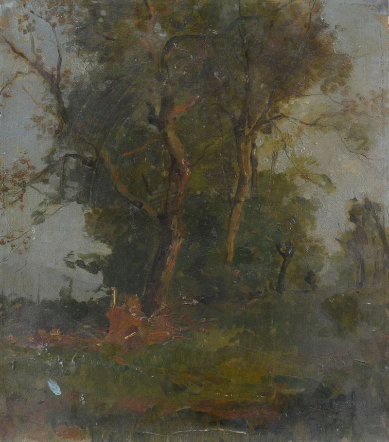 Anonimo, XX Sec. - Paesaggio con Alberi
