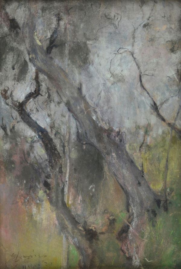Giuseppe Casciaro - Alberi