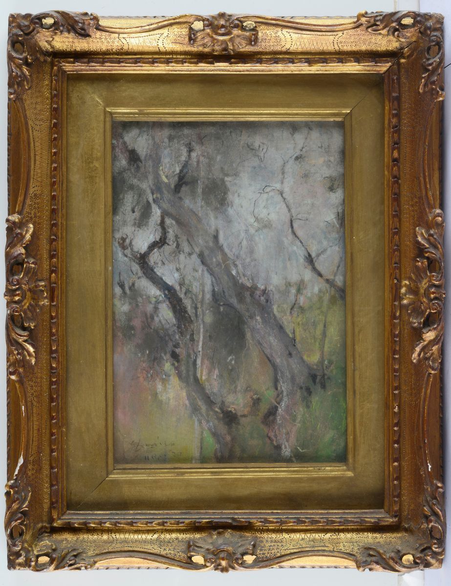 Giuseppe Casciaro - Alberi