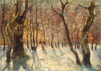 Sottobosco con Fascinaie