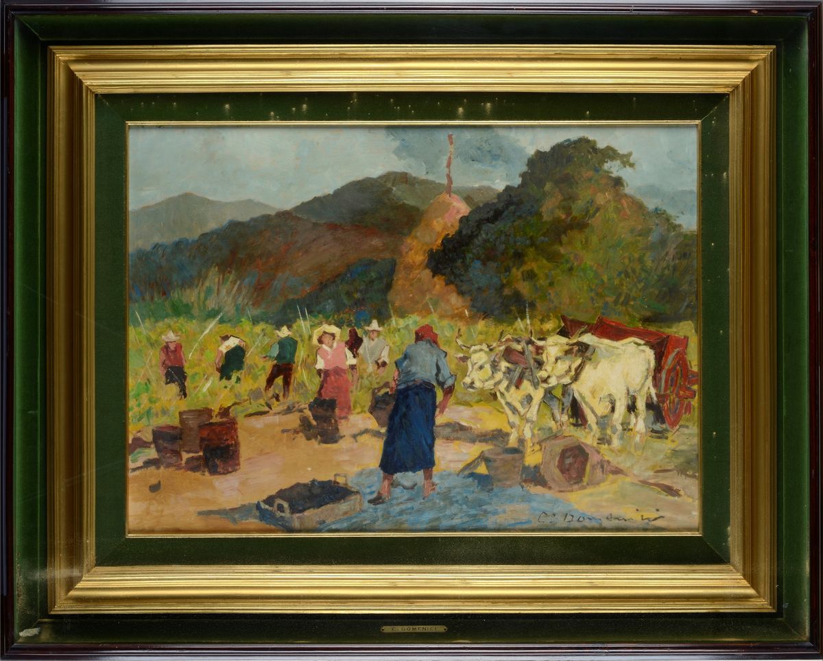 Carlo Domenici - Vendemmia