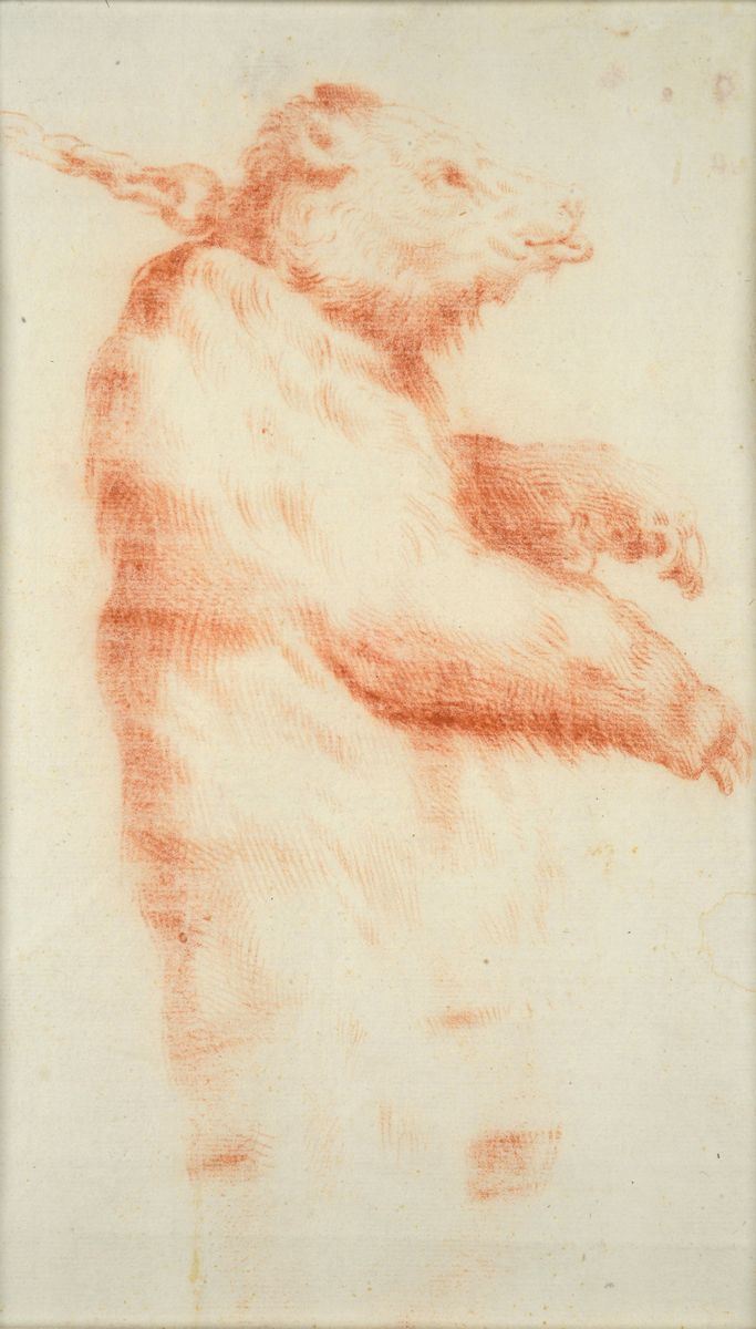 Da Agostino Carracci - Orso in Catene