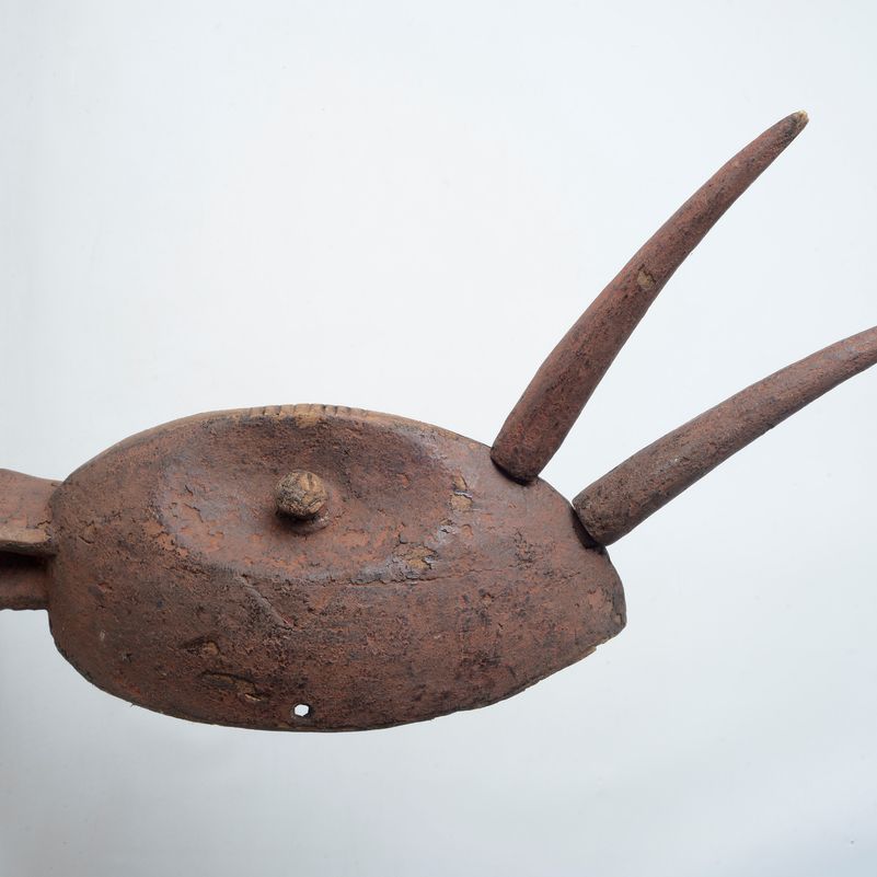 Maschera - Casco