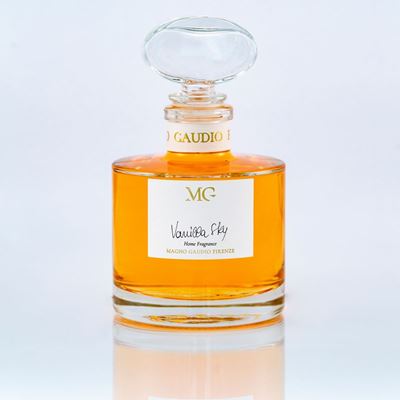 Diffusore con Bastoncini 500 ML - Vanilla Sky