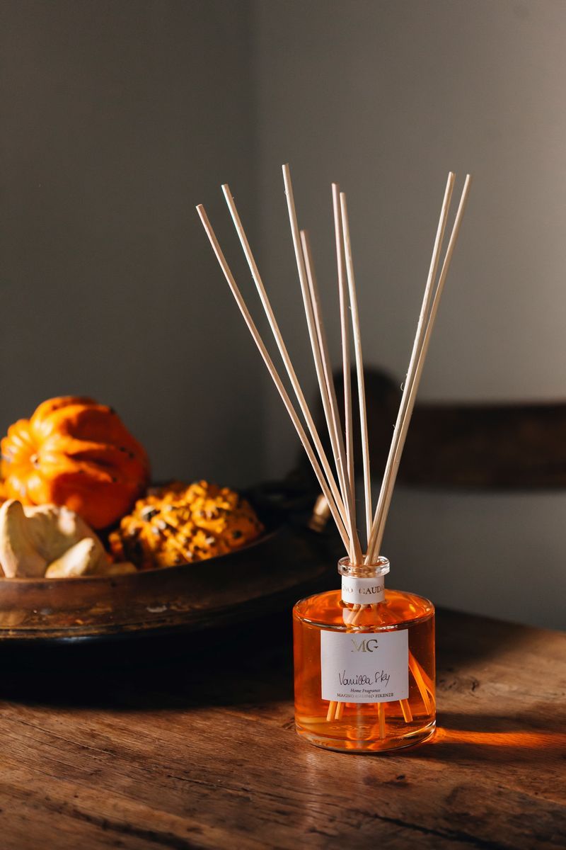 Magno Gaudio Firenze - Diffusore con Bastoncini 500 ML - Vanilla Sky