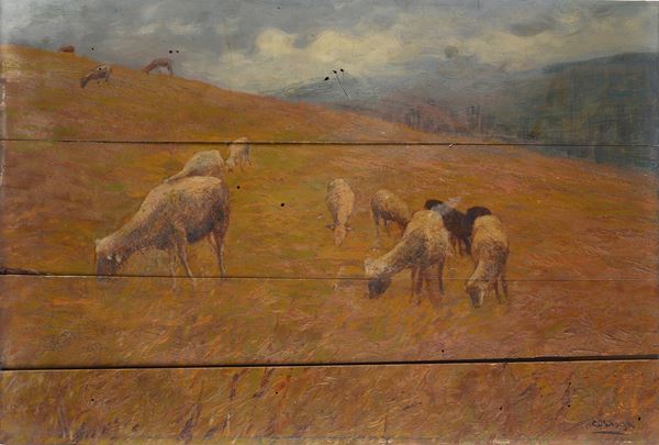 Carlo Passigli - Gregge al pascolo