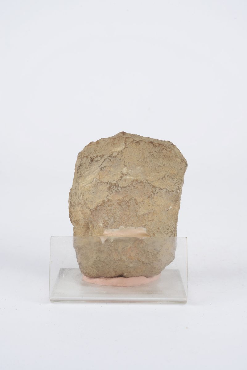 Scultura