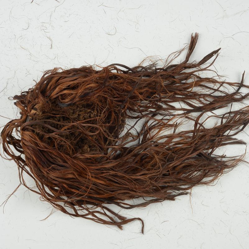Maschera Tchowe