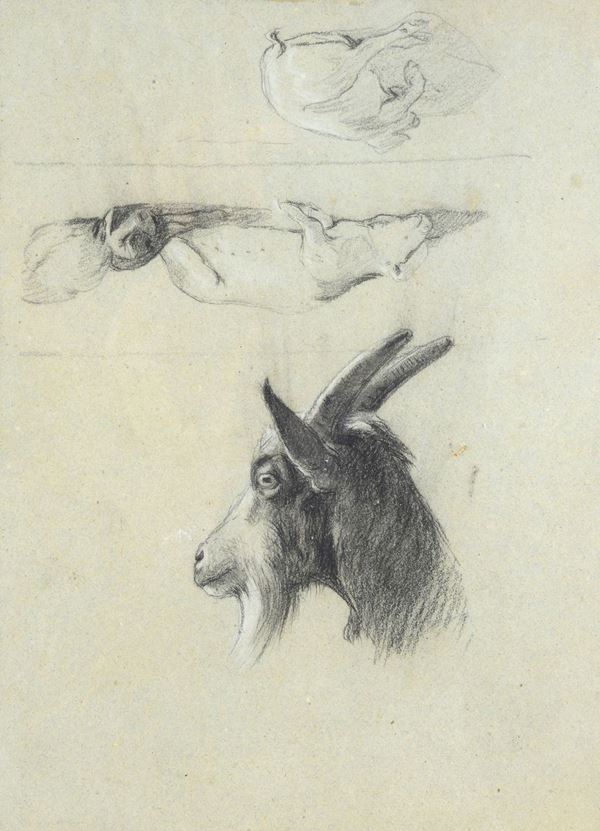 Attr. a Carlo Pittara - Studi di capre (fronte e retro)