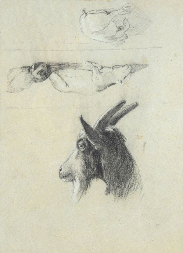 Attr. a Carlo Pittara - Studies of goats (front and back)