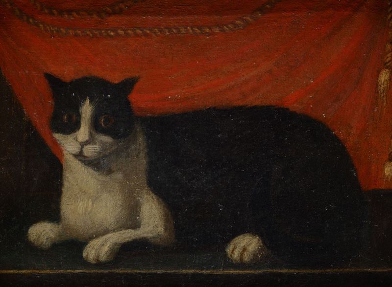 Anonimo, XVII Sec. - Gatto