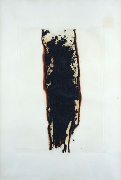 Combustione