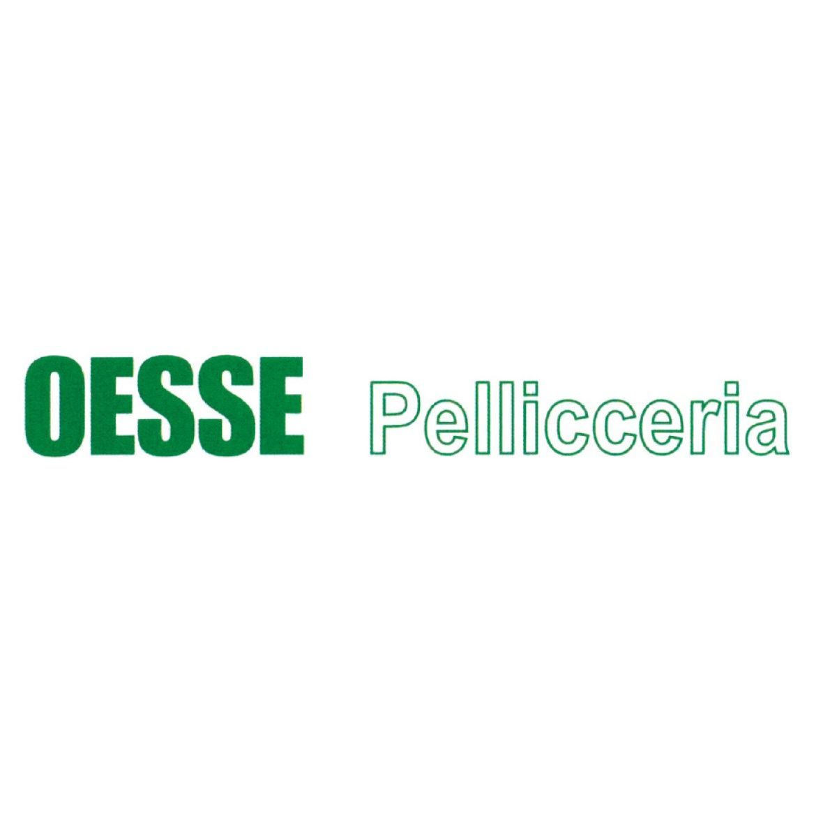 Oesse Pellicceria - Coprispalla Elasticizzato Volpe Argentata
