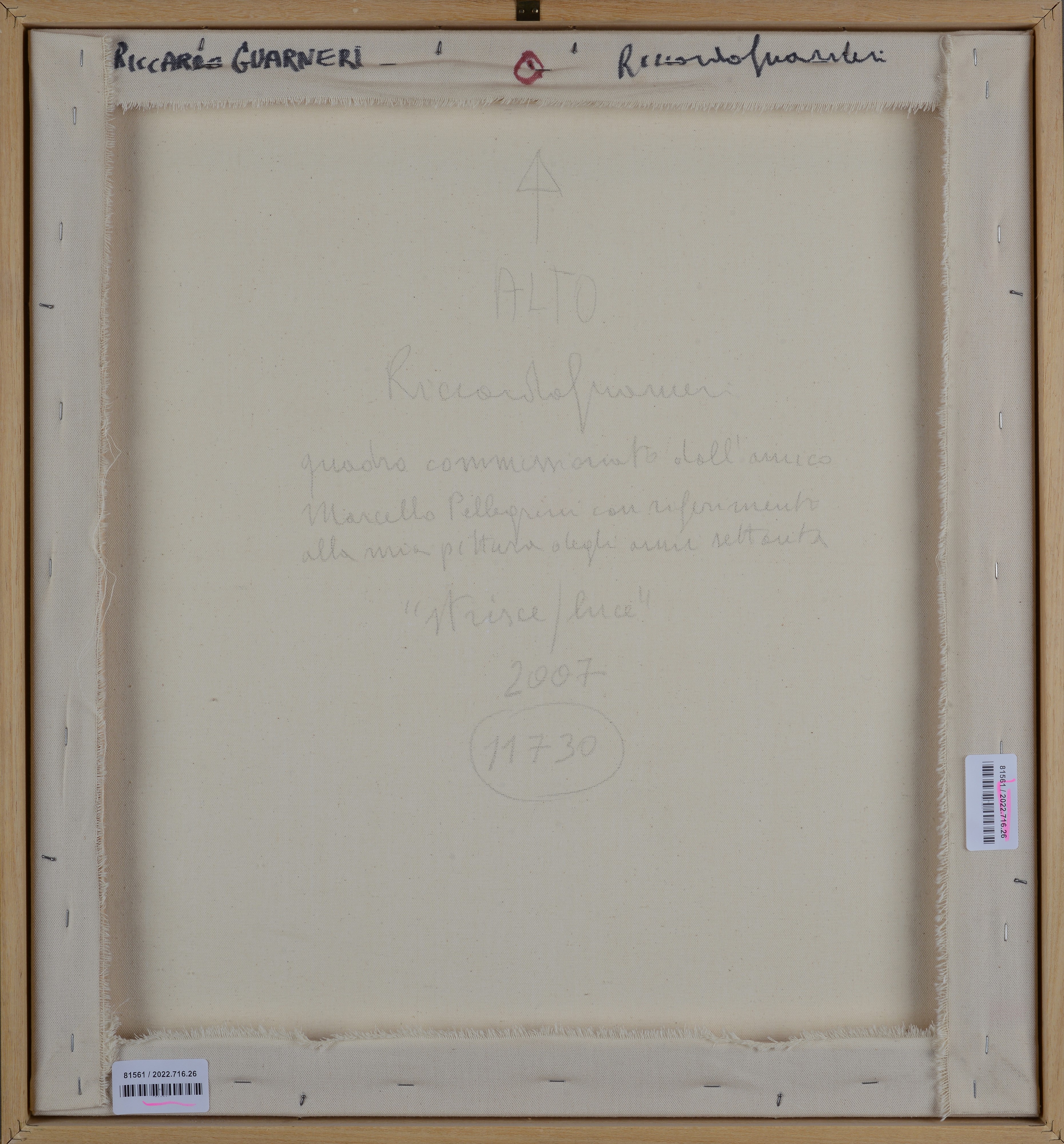 Riccardo Guarneri - Senza Titolo