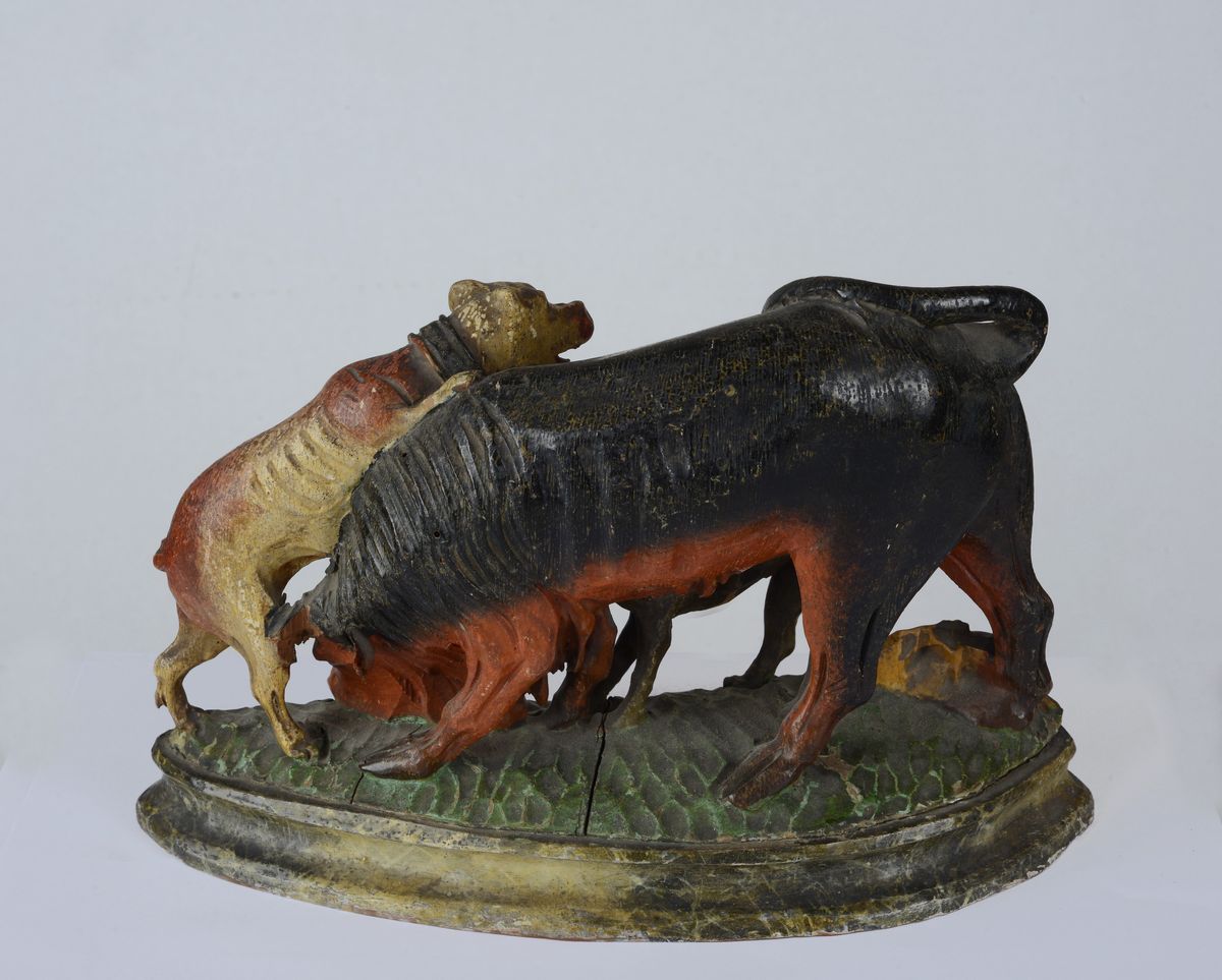Cani che Attaccano un Toro