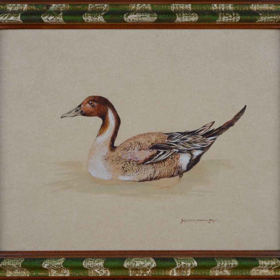 Gigliola Petrini Lapi - Anatre