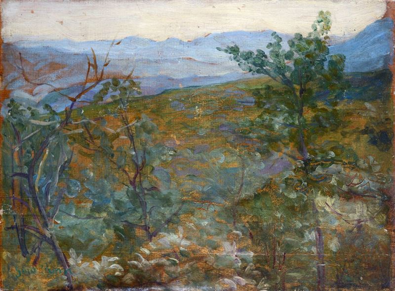Anonimo, XX Sec. - Paesaggio