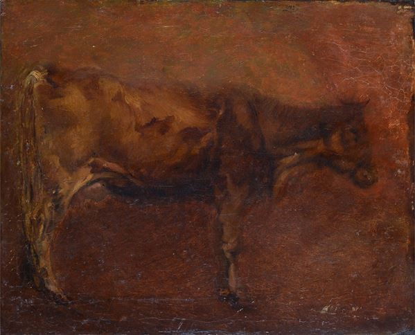 Anonimo, XIX - XX sec. - Cow