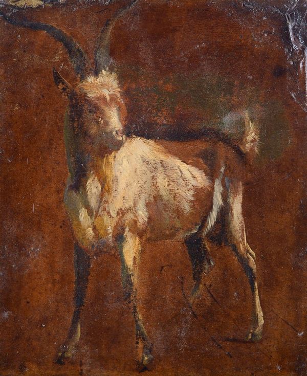 Anonimo, XIX sec. - Little goat