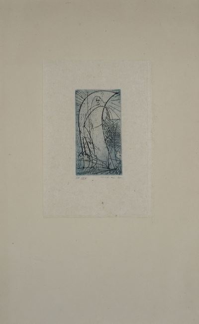 Oiseau Vierge