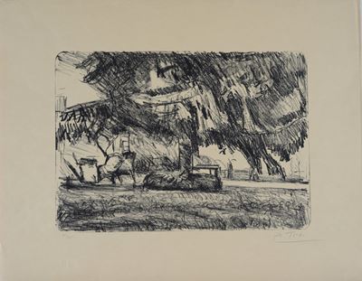 Albero