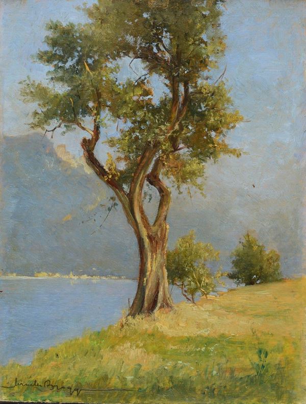 Anonimo, XX sec. - Paesaggio lacustre con alberi