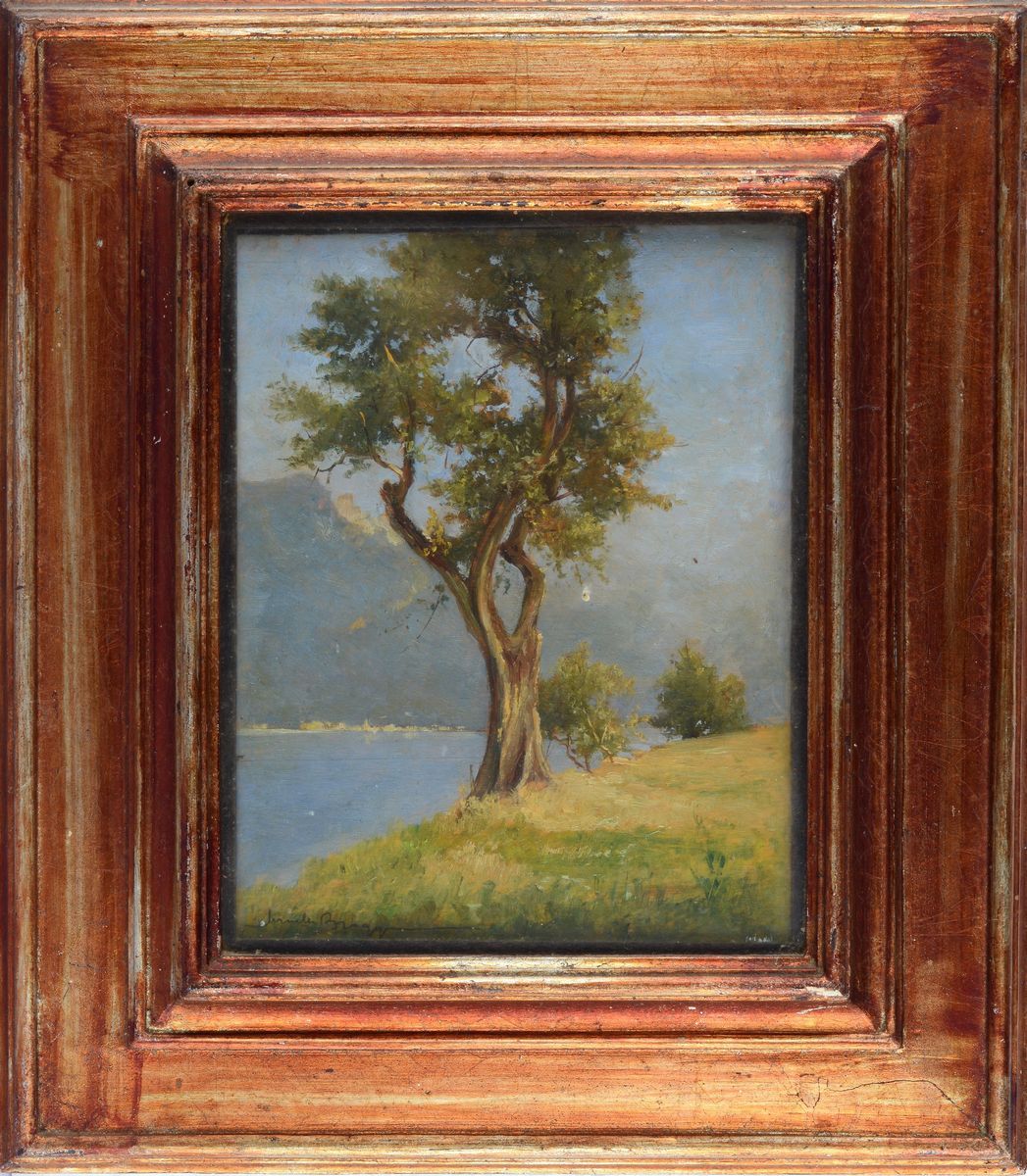 Anonimo, XX Sec. - Paesaggio Lacustre con Alberi