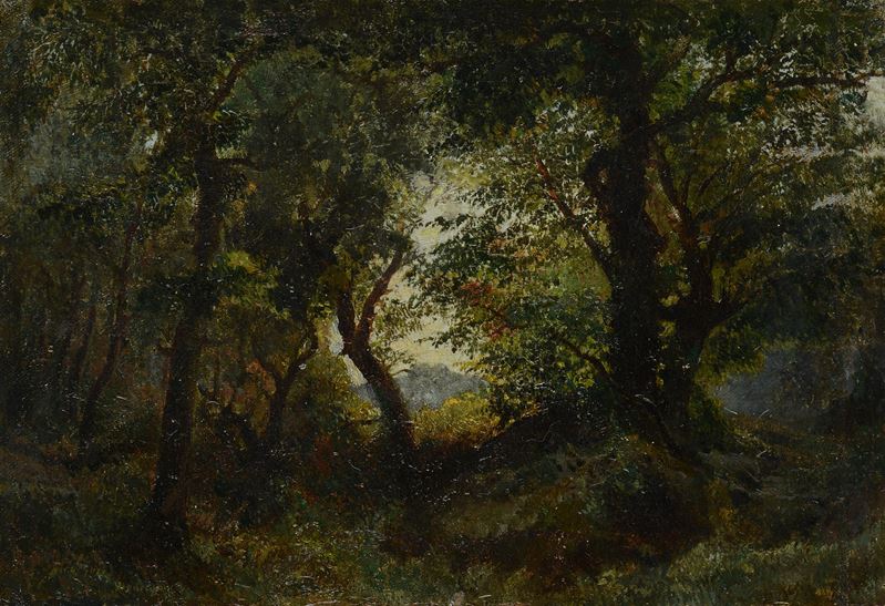 Attr. a Pietro Fragiacomo - Bosco