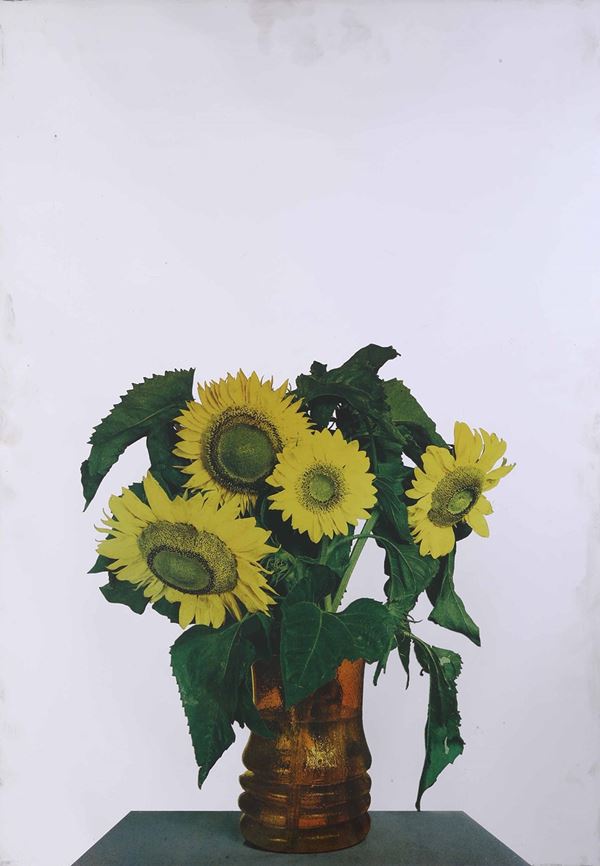 Michelangelo Pistoletto - Girasoli