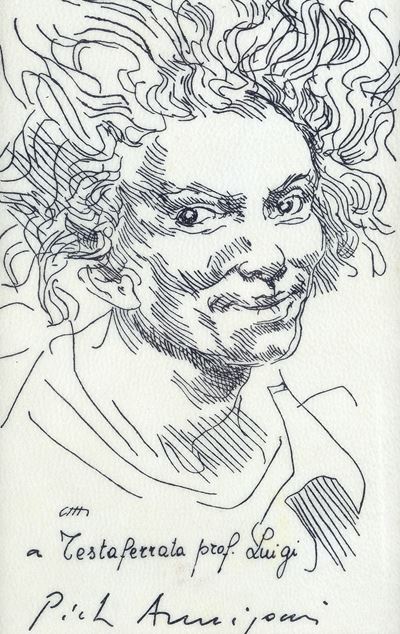 Testa