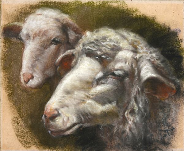 Anonimo, XIX sec. - Sheep heads