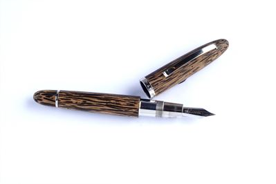 Penna Stilografica
