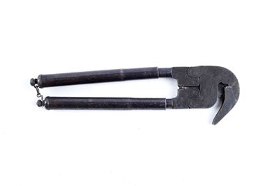 Pinza Tagliafili