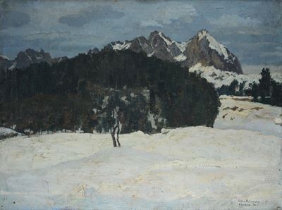 Paesaggio Invernale