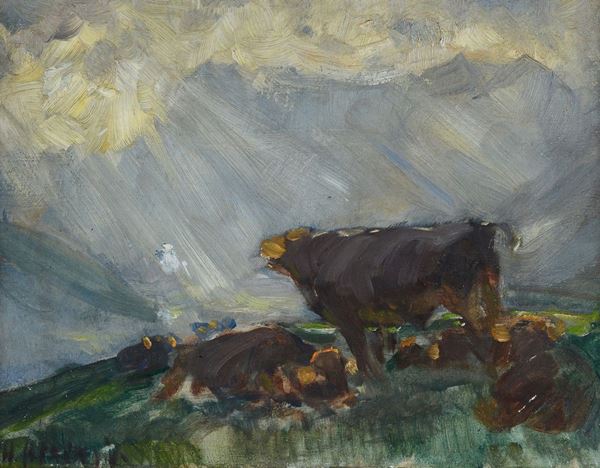 Anonimo, XX sec. - Cows