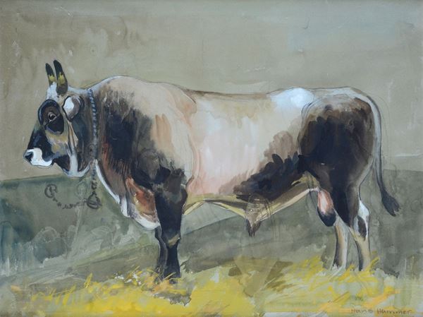 Hans Hammer - Study for bull