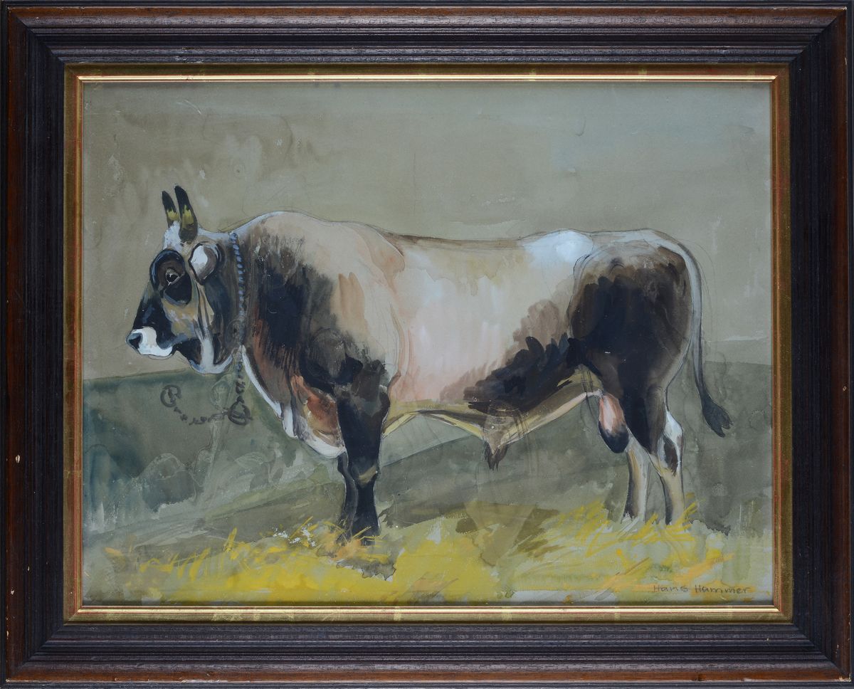 Hans Hammer - Studio per Toro