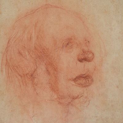 Lord Busculinomid