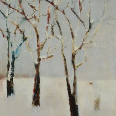 Alberi Sotto la Neve