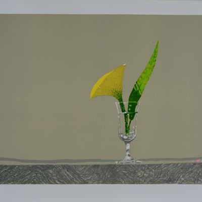 Un Fiore in un Bicchiere D'acqua