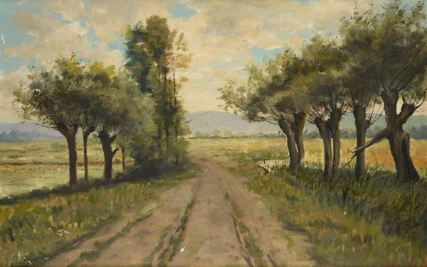 Anonimo, XX sec. - Tree-lined avenue