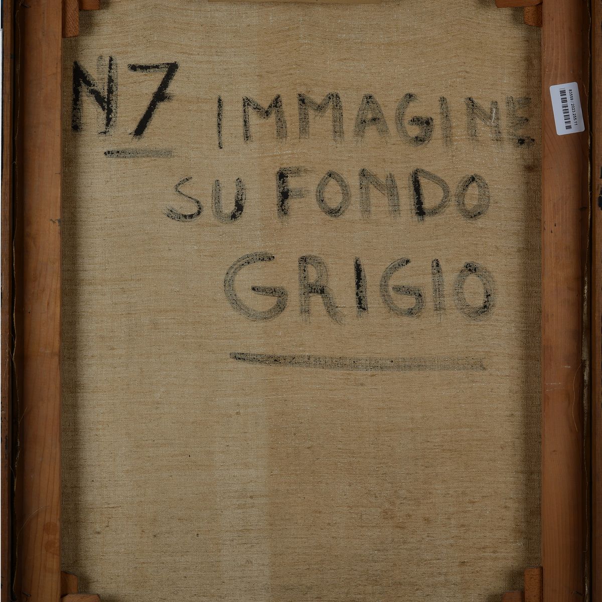 Mario Bionda - Immagine su Fondo Grigio