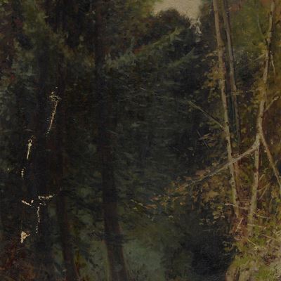 Strada nel Bosco